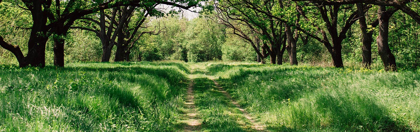 Horizonte Gesundheitscoaching